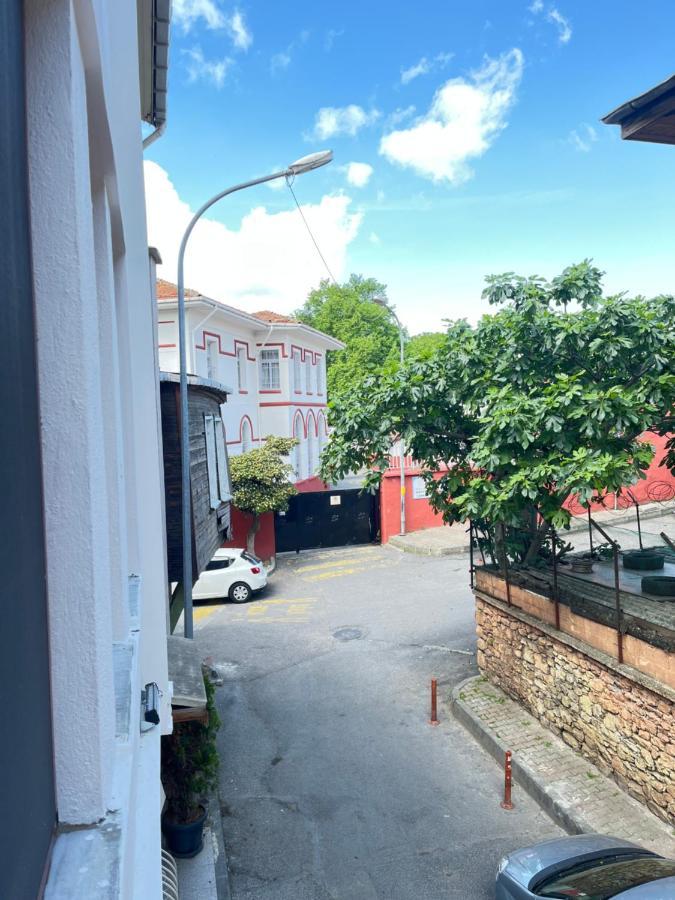 The Pillo Mansion Apartament