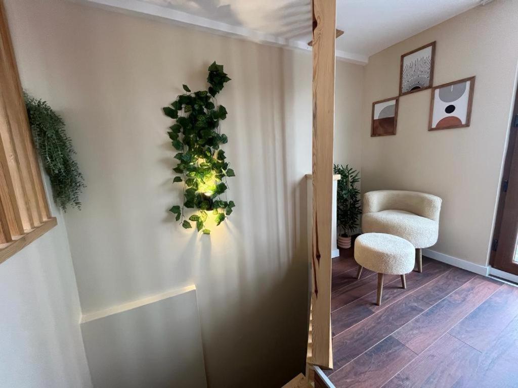 The Pillo Mansion Apartment